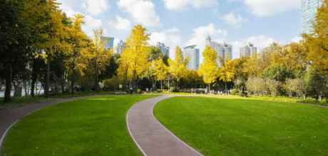 Summer Car Rental Special – Save 20%!