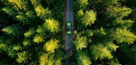 Share the Wheel with a Free Second Driver